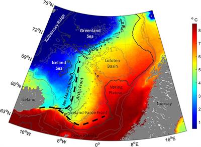 Spatial Distribution of Different Age Groups of Herring in Norwegian Sea, May 1996–2020